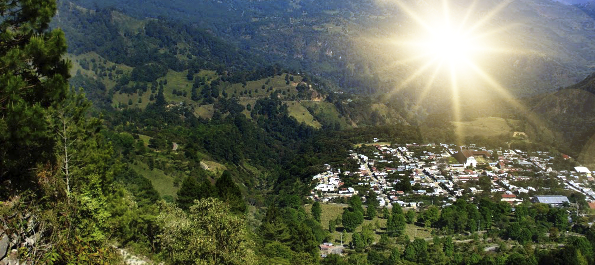 Strongest distribution network