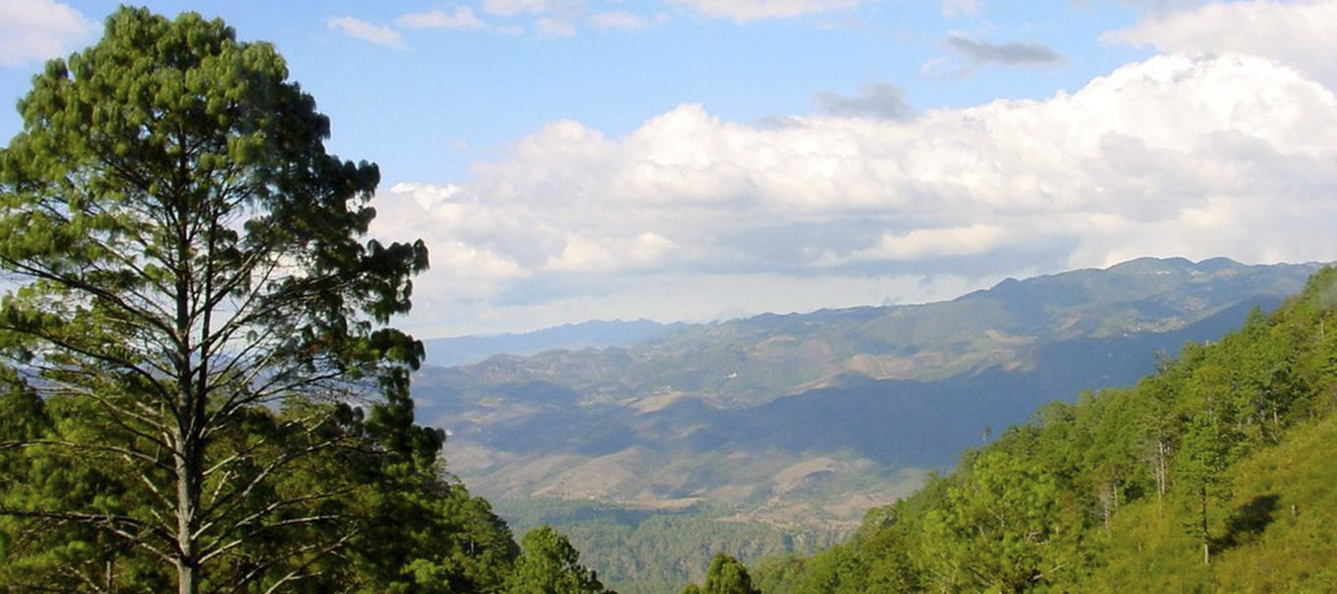 Worldwide freight services